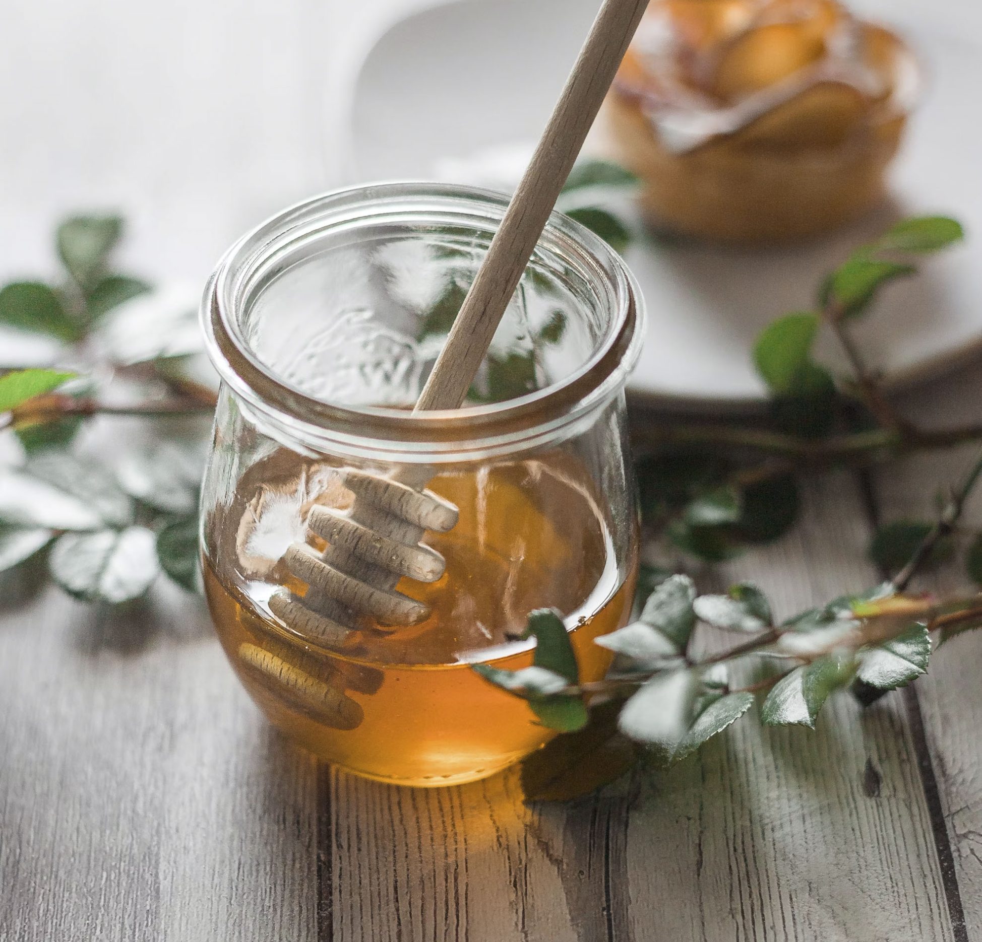 photo-1622448559300-6df8495a1574